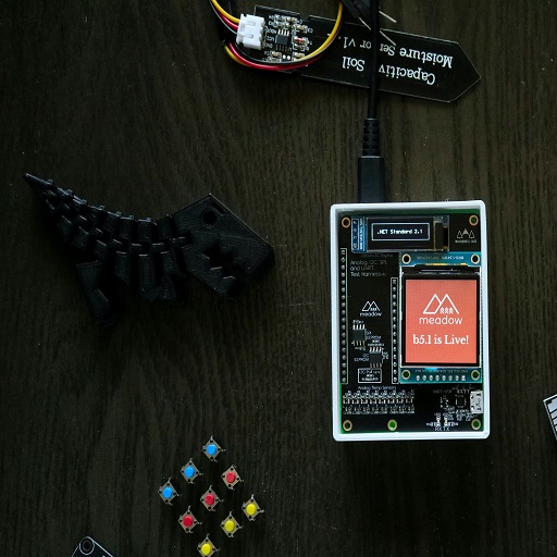 wearable devices